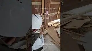 宮大工の仕事　～大師堂の改修～　Work of a Palace Carpenter - Renovation of Daishi Hall 　 #shorts11