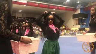 2019 JSU Great Reveal -  Gamma Rho chapter of Alpha Kappa Alpha Sorority, Inc.