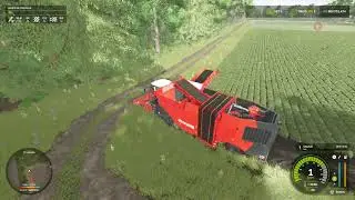 Veja esta enorme colheitadeira vermelha em ação! 🚜 #shortsvideo...