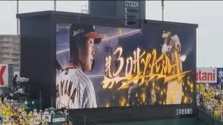 20240622　大山悠輔 第2打席の登場曲【｢炎天夏｣／湘南乃風】　4回ｳﾗ　阪神ﾀｲｶﾞｰｽ@阪神甲子園球場･ﾚﾌﾄ外野