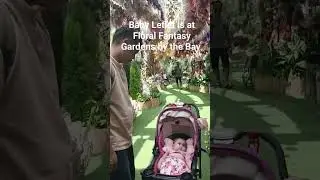 Baby Letlet is @Floral Fantasy Gardens by the Bay.#video #viral #viralvideo #shortvideo #shorts