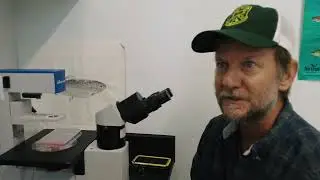Vermont Fish and Wildlife's Fish Health Program