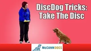 Disc Dog Frisbee Tricks: Teach Your Dog To 