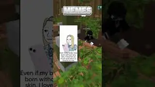 Memes Hall Of Fame!