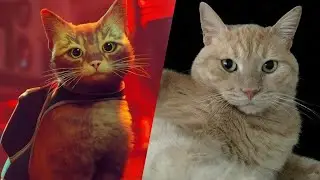 KEDİMİN EN SEVDİĞİ OYUN - Stray #1