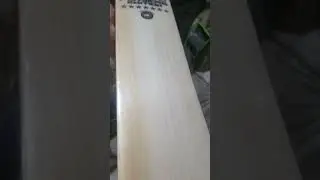CA PLUS 15000 PLAYERS EDITION 7 STAR BAT |Available at www.cricketcloset.com