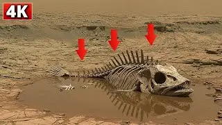 Марсоход НАСА отправил самые шокирующие 360&deg; 4K-кадры Марса | Видео с марсохода Perseverance, 153...