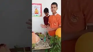 Volcano making and eruption project and define their parts 