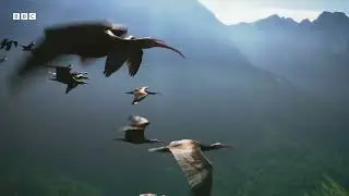 First Look Planet Earth III ft  Hans Zimmer, RAYE and Bastille  BBC Earth   BBC Earth 1080p, h264