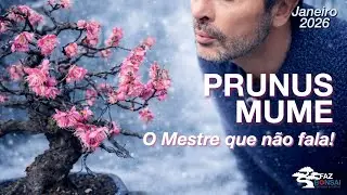 PRUNUS MUME - O Mestre que não fala!