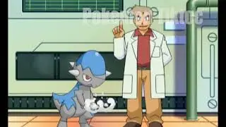 Pok&eacute;mon Journeys एपिसोड #38 - Cranidos attacks Professor Oak -        Pok&eacute;mon Asia Official (Hindi)