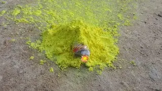 blast a boom with covering a color./@a1anovatic