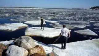 Eisscholle