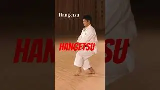 Shotokan kata Hangetsu #karate #martialarts #hangetsu