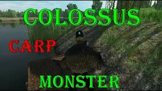 Fishing Planet - Carp Colossus Monster | Weeping Willow | Part 2