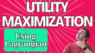 Utility Maximization with Lagrangian Optimization Fully Explained
