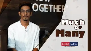Much or Many🤔 | English Partner