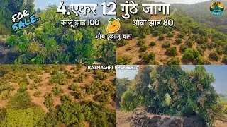 🌴 आंबा आणि काजू बाग 🥭 ४ एकर १२ गुंठे प्रॉपर्टी FOR SALE माती भागाची जागा 🍀