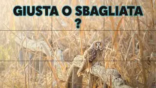 Imparare leggendo le foto