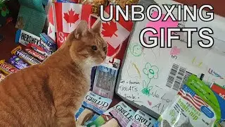 Alvi cat : unboxing gifts