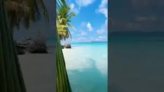 YOU WILL LOVE PALAWAN, PHILIPPINES