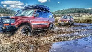 TOYOTA VX80 & NISSAN TERRANO OFF ROAD