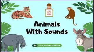 Animals With Sounds for Kids | Learning Animal Names with their sounds | Little Smiley Kidoo