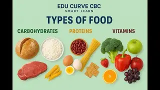 Learn Types of Food Through Music 🍇🎵 | Educational & Fun Food Song for Kids & ESL Learners!