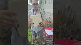 fema insurance person sent by HOA