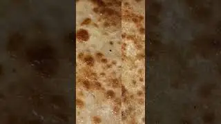 How To Make Mong Dal Paratha | Lentil Stuffed Paratha Recipe