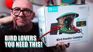 Is This Smart Bird Feeder Worth the Hype? #birdfy #birdfeeder #ai