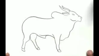 cow drawing easy