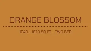 The Line Raleigh - Orange Blossom | Two Bed / 1 Bath, 1040-1070 Sq Ft Apartment Tour 