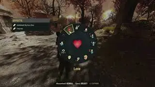 Feyria the explosive Bear
