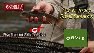 TIPS N TRICKS Small Stream's