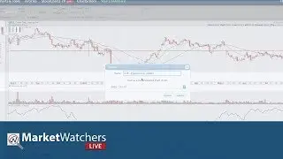 Jake Bernstein | MarketWatchers LIVE