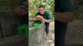 Screaming frog #shorts #trending #funny #subscribe
