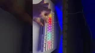 White shark keyboard 🦈 gaming mini keyboard 60%