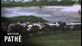 The Derby 1961 (1961)