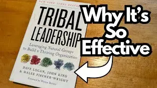Tribal Leadership - Book Review