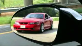 Ian's Cobra Movie