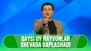 Qaysi uy hayvonlari shevada gaplashadi I TEZ TOP (04.01.2026)