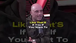 How Does JOE ROGAN spend his money