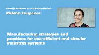 Manufacturing strategies and practices for eco-efficient and circular industrial systems​