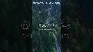 #quranic #reflections #القرآن_الكريم