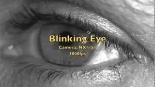 Blink of an Eye, in Slow Motion