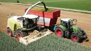 Claas Jaguar 970 | Fendt 312 514 718 | Trinciatura grano Team Sandrini Parte1