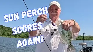THE BEST CRAPPIE CRANKBAIT!