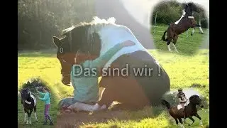 (neuer) Kanaltrailer - Das sind wir!