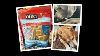 Ol'Roy Long Lasting Munchy Bones for Large Dogs Honest Review - Bacon & Cheese Flavor - Dog Treat
